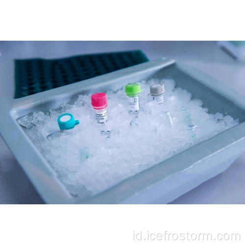 Mesin Es Flake Laboratorium Murah